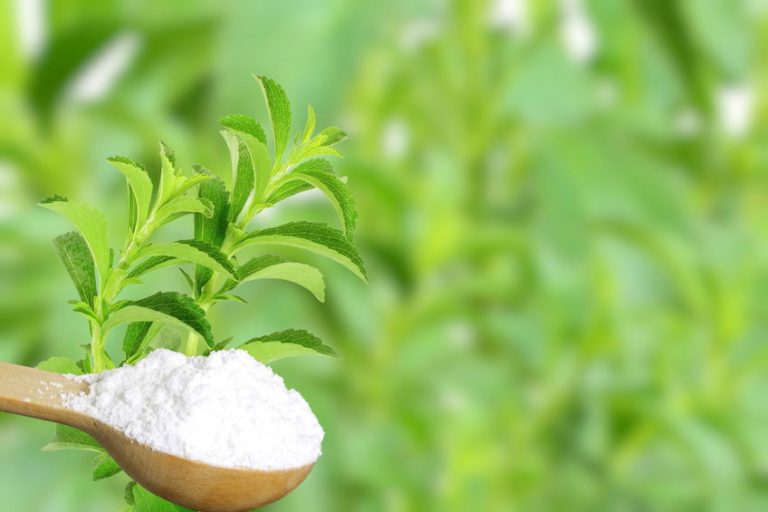 Stevia chocolate without sugar or Erythritol Pure Love Chocolate