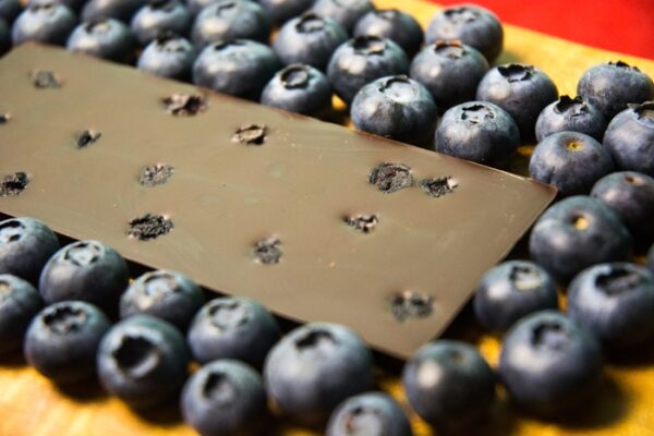 Oregon Blueberry chocolate bar